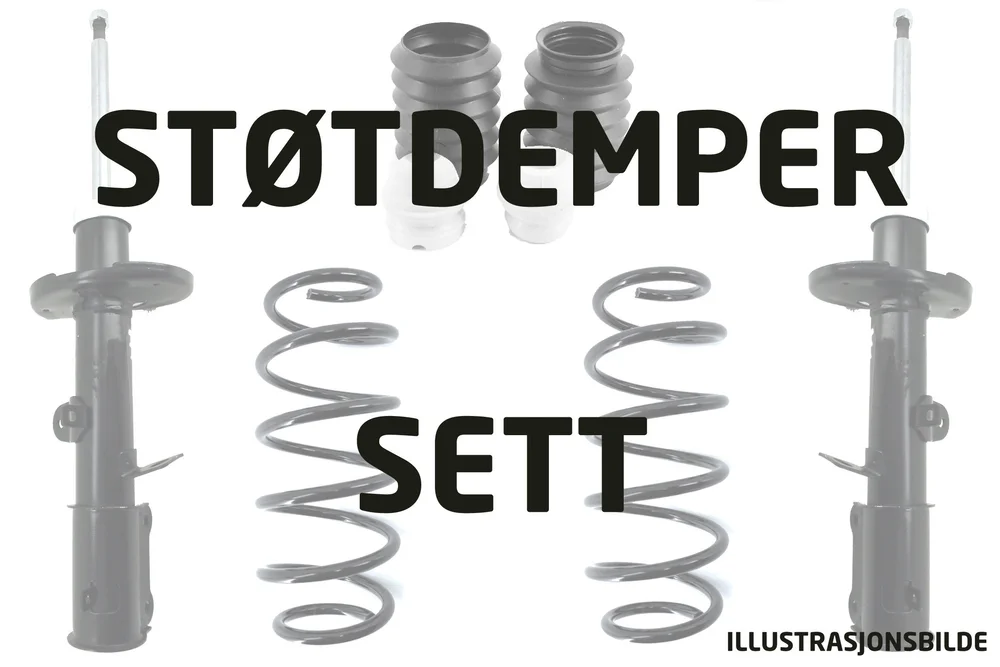 Støtdemper- og fjærsett v:1266471